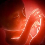 Сколько стоит сделать аборт и от чего зависит стоимость?