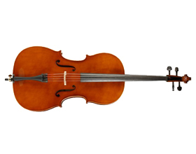 Сколько стоит виолончель: виды и средние цены